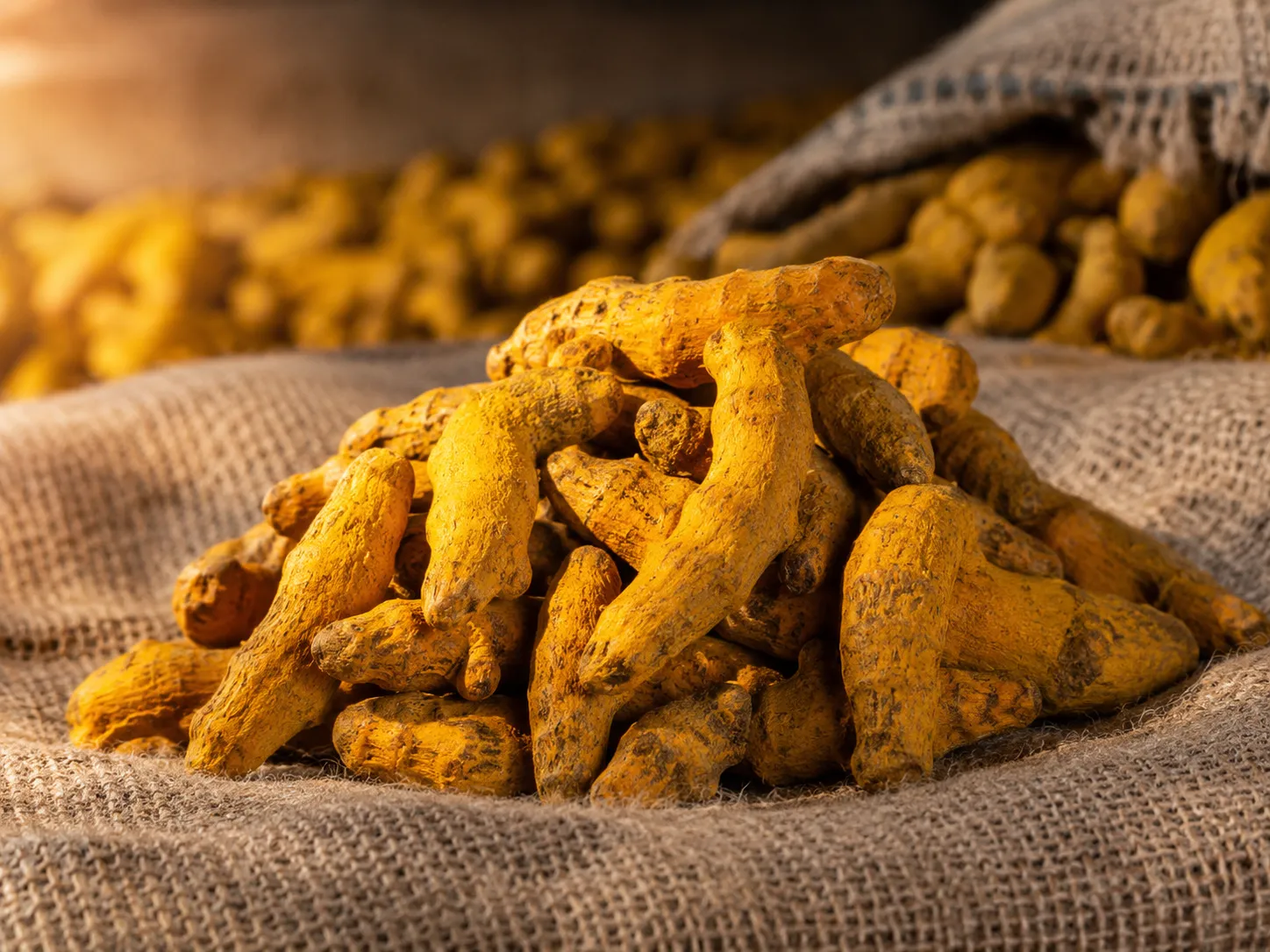 Export-grade turmeric from the Marathwada belt, Nanded and Hingoli districts
